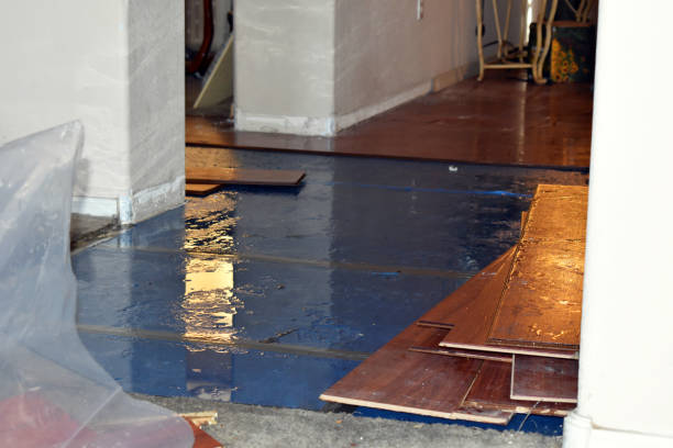 Professional Basement Flood Cleanup technician working in Kenilworth, PA
